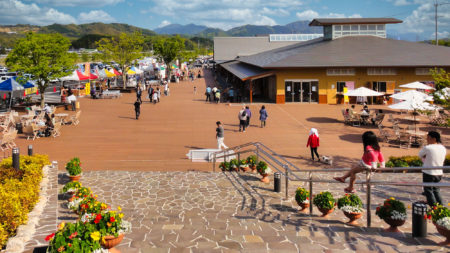 道の駅おおとう桜街道イルミネーション:65万球の光が魅せる、夢と感動の冬物語