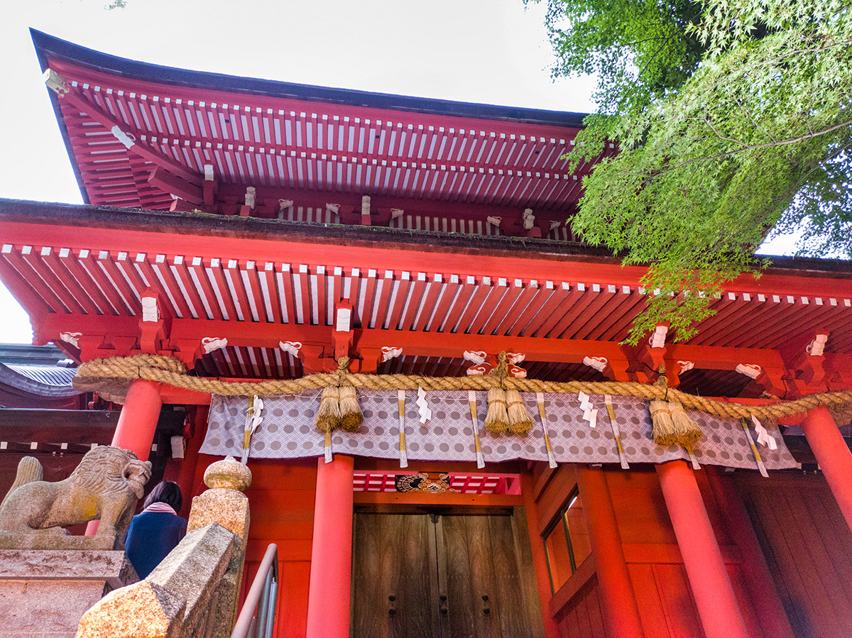 赤い袴姿の八乙女と早乙女が織りなす長門國一宮住吉神社　御田植祭