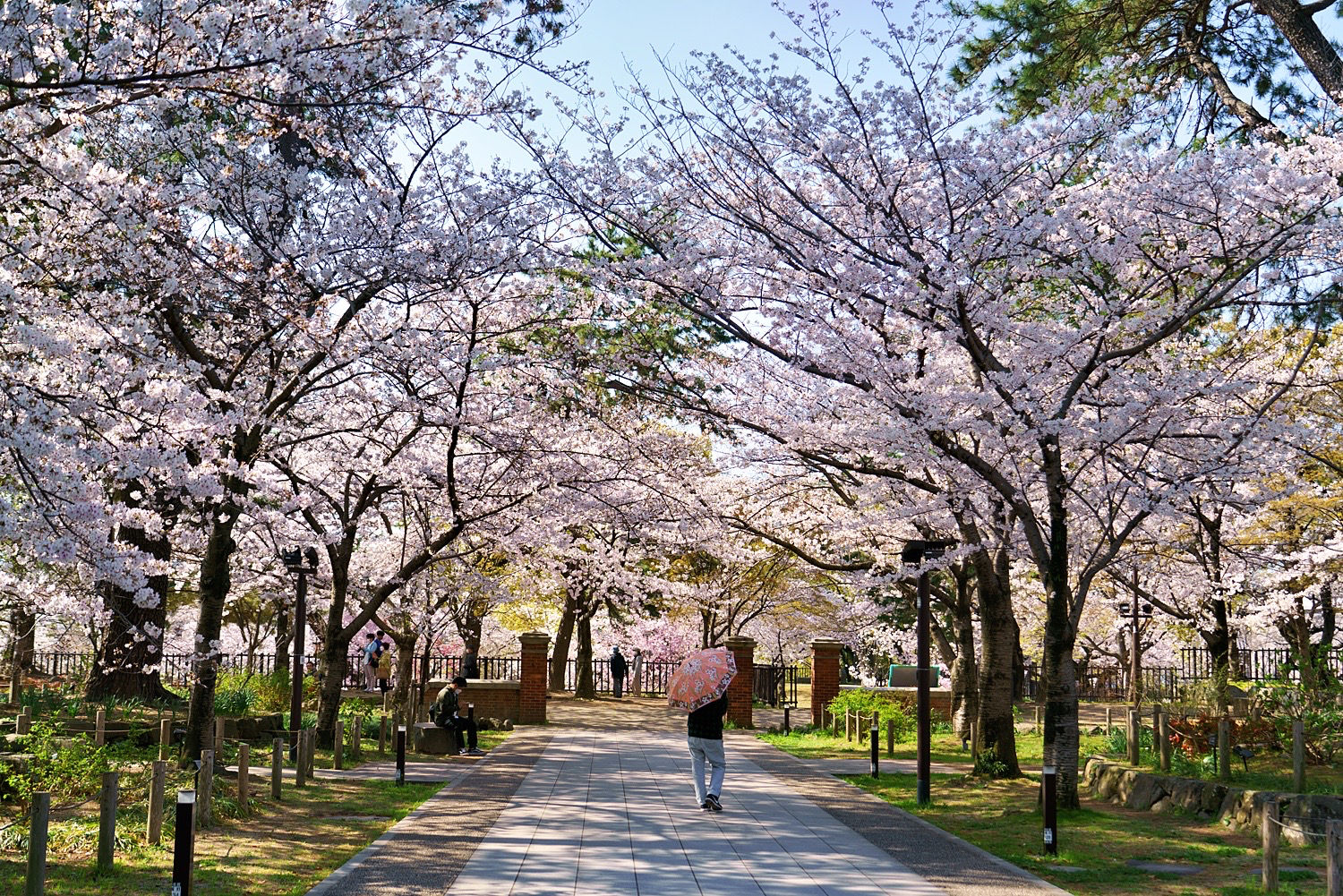 村上舞鶴公園 | まいづる公園 観光 – 【まいづる公園】アクセス・営業時間・料金情報 – IBZN