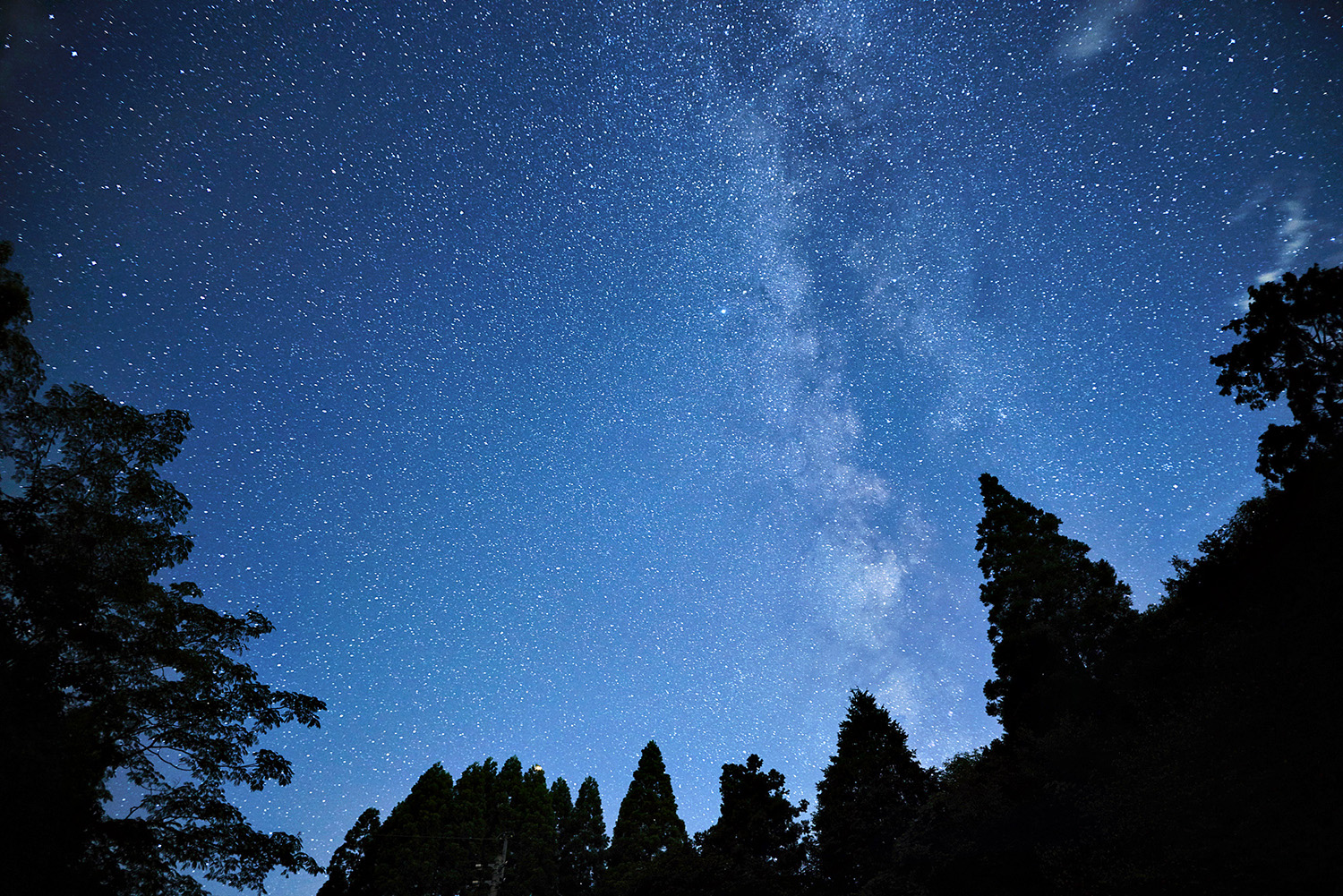 a0fba0e64da2220c4f521888bfbeb1