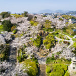 【下関の歴史と絶景が調和する】日和山公園：幕末の面影を残す桜の名所