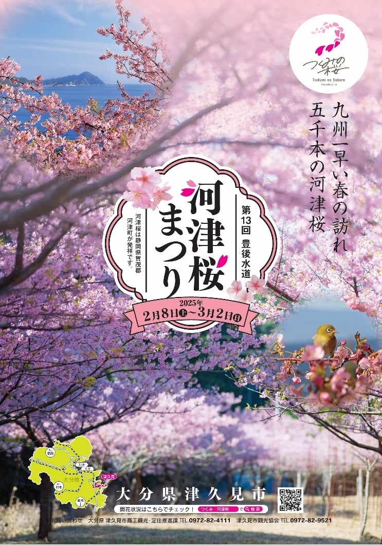 四浦半島「豊後水道河津桜まつり」2025 一足早い春をピンクの絶景で