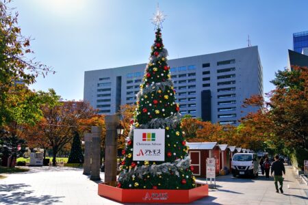 【天神イルミ】「光のフォレスト」開幕!“映え”フォトスポット&無料クリスマスサーカス徹底ガイド