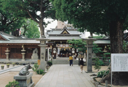 【実写レビュー】一番エモい格安フィルム？Kodak ColorPlus 200が作る「懐かしい黄色」の世界【作例あり】