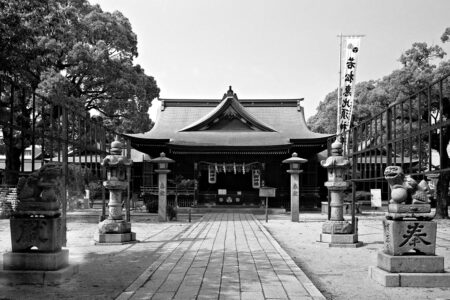 【実写レビュー】ILFORD DELTA 100はなぜ「最強の微粒子」なのか？作例で見る圧倒的な解像度とFomapan/T-Maxとの違い