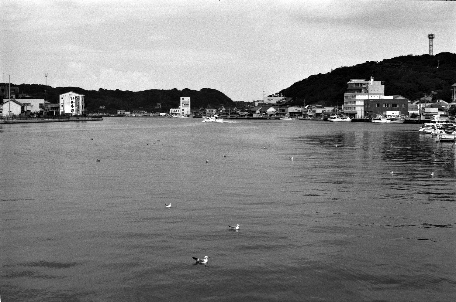 実写レビュー】夜景撮影の最強フィルム！Fujifilm NEOPAN 100 ACROS II