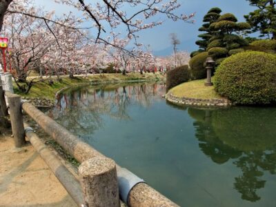 【佐賀・小城】約3000本が咲き誇る歴史的庭園！「小城公園の桜」絶景・お花見ガイド